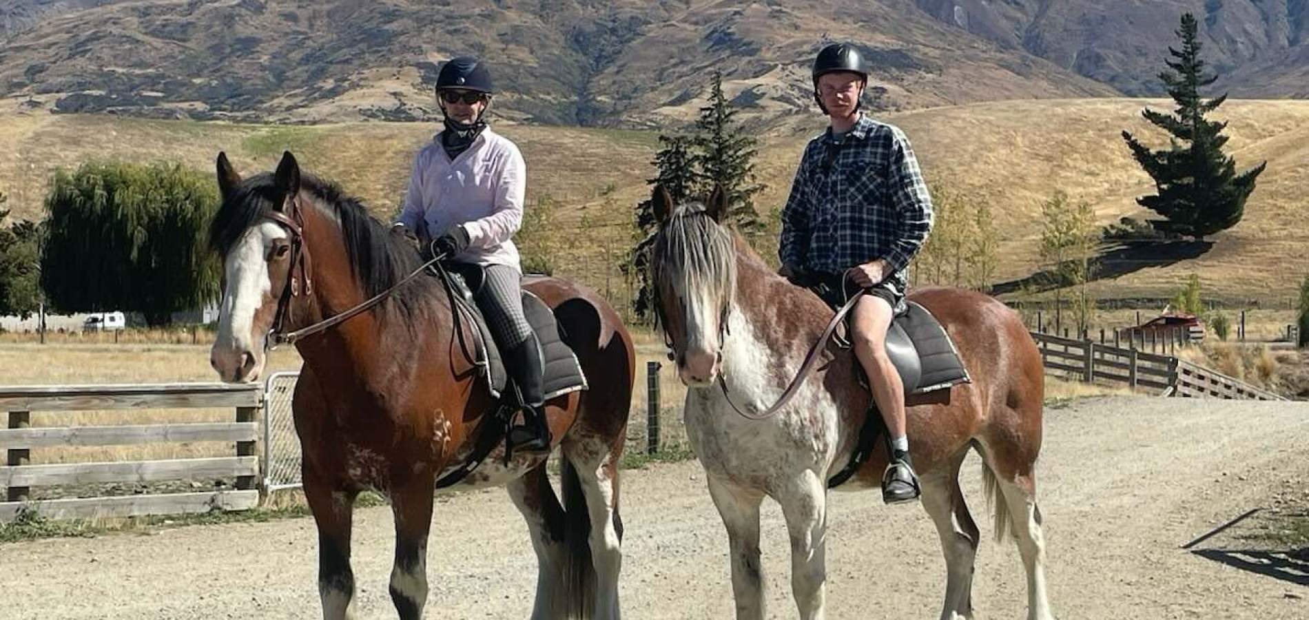 Clydesdales ridden